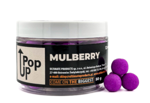 Pop-up Mulberry