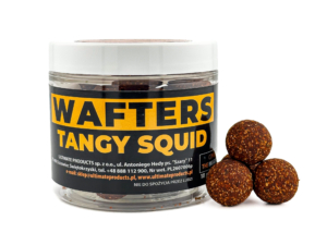 Tangy Squid Wafters