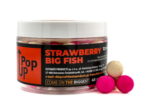 Pop-up Strawberry Big Fish