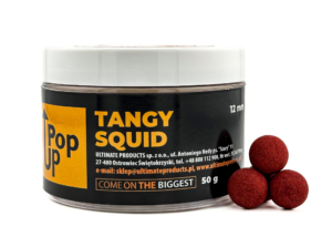 Pop-up Tangy Squid